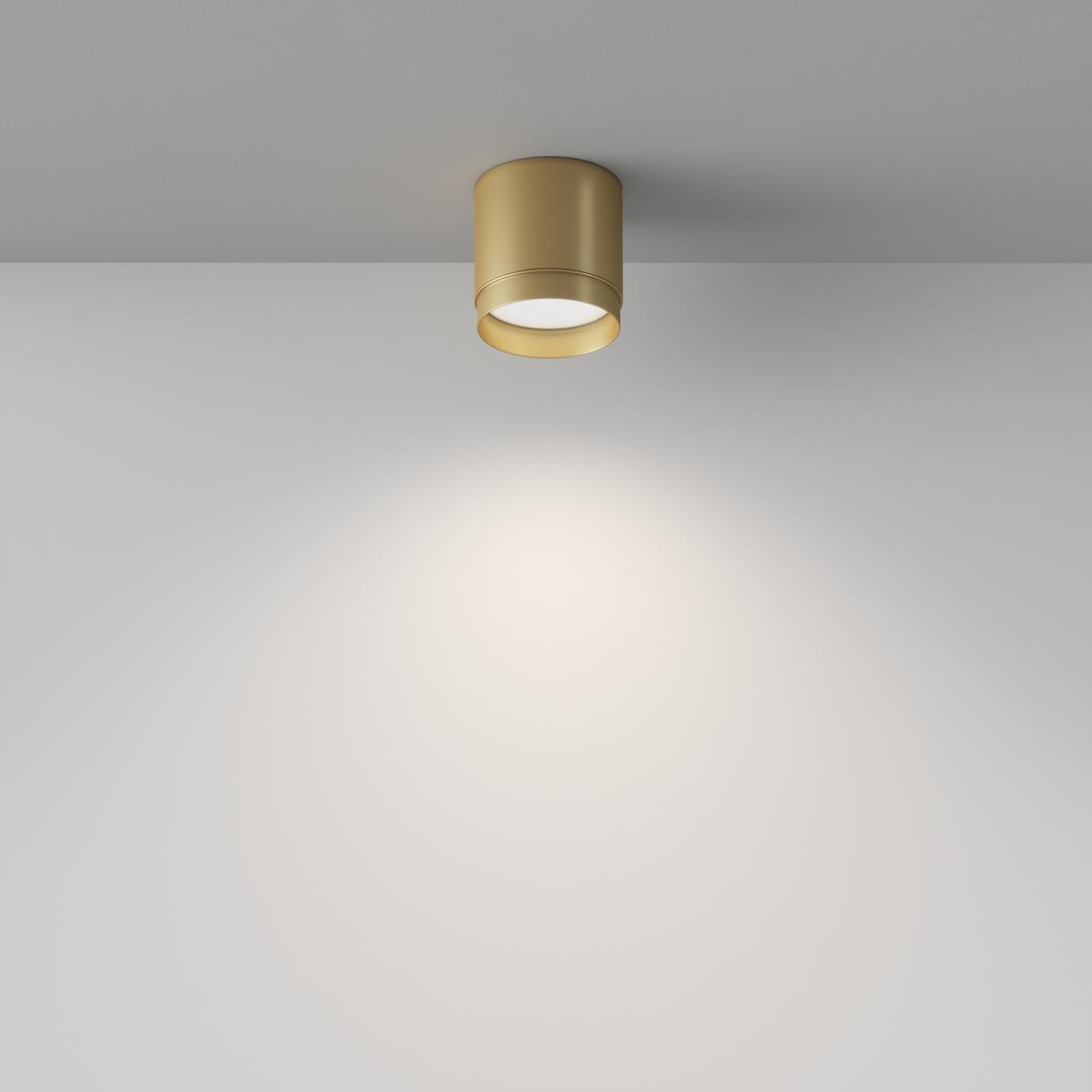 Дополнительная картинка Потолочный светильник Technical C088CL-GX53-MG