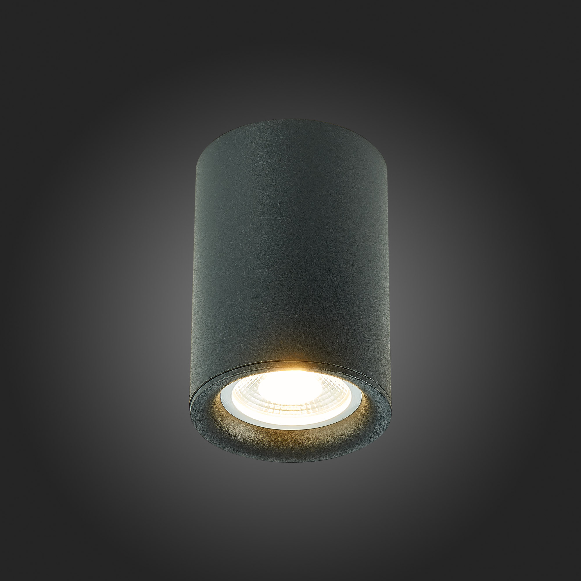 Картинка Потолочный светильник ST Luce ST114.407.01