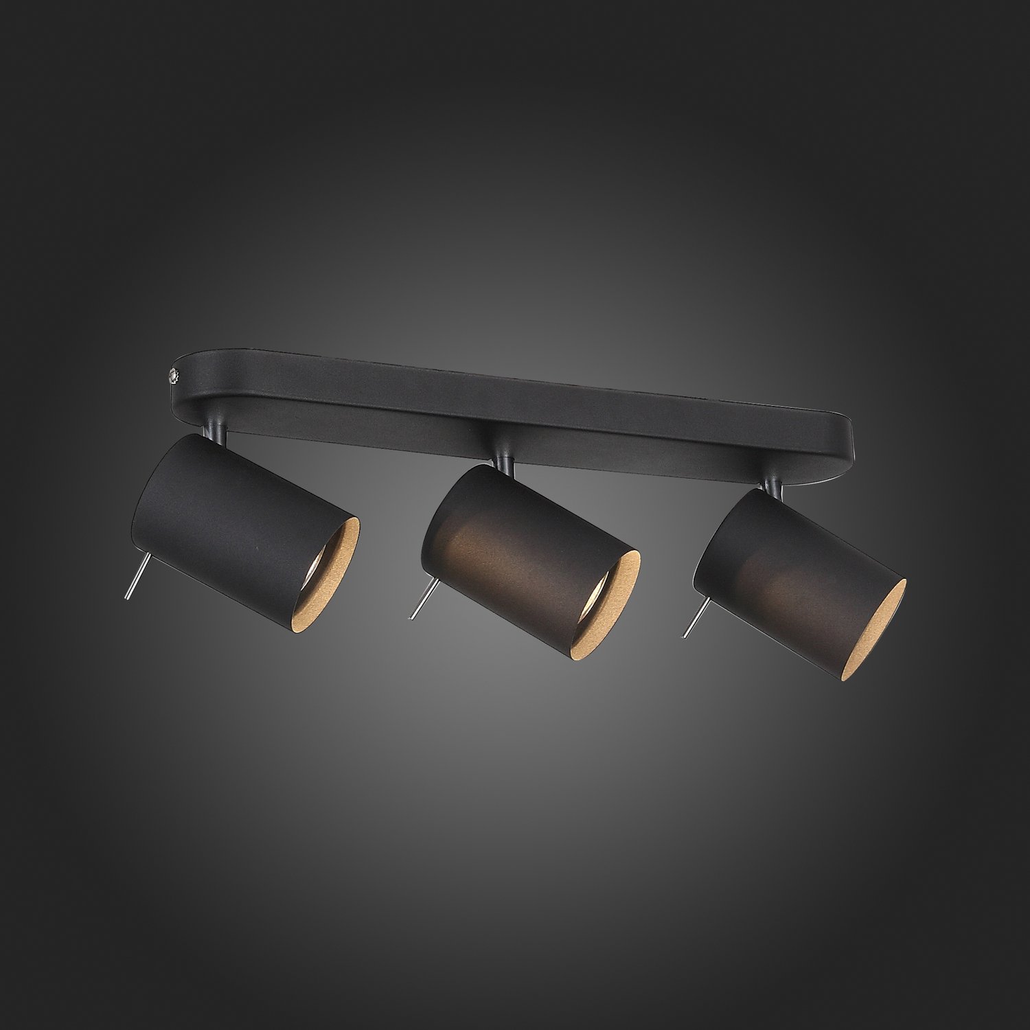 Картинка Светодиодный спот ST Luce Fanale SL597.401.03