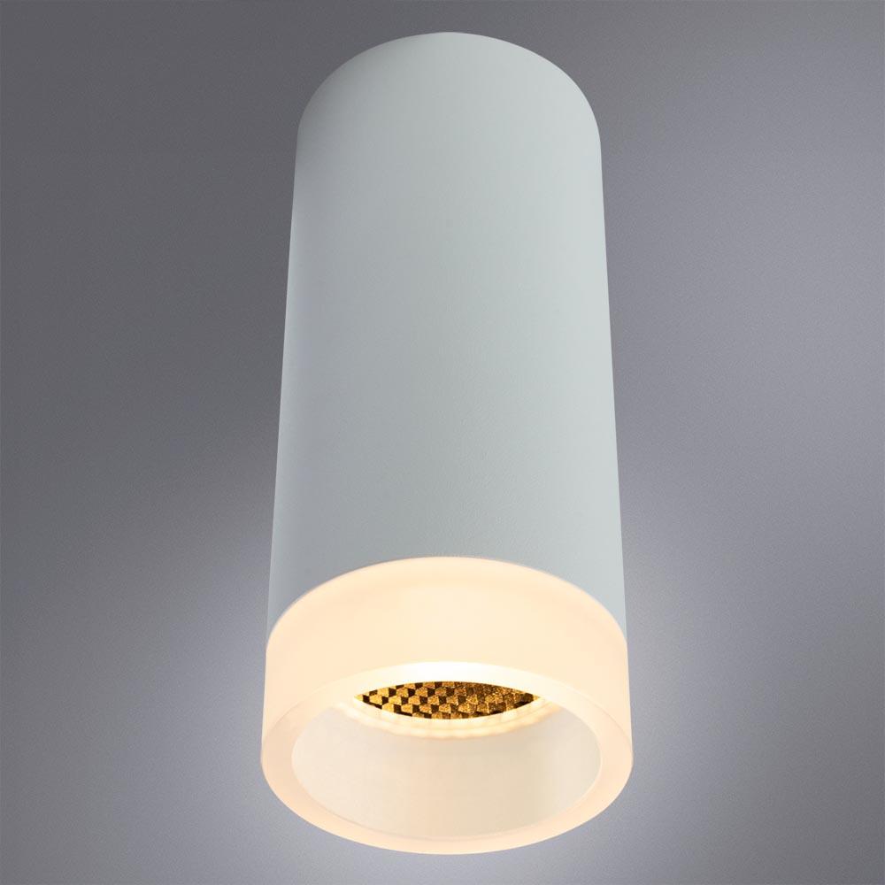 Дополнительная картинка Потолочный светильник Arte Lamp Ogma A5556PL-1WH