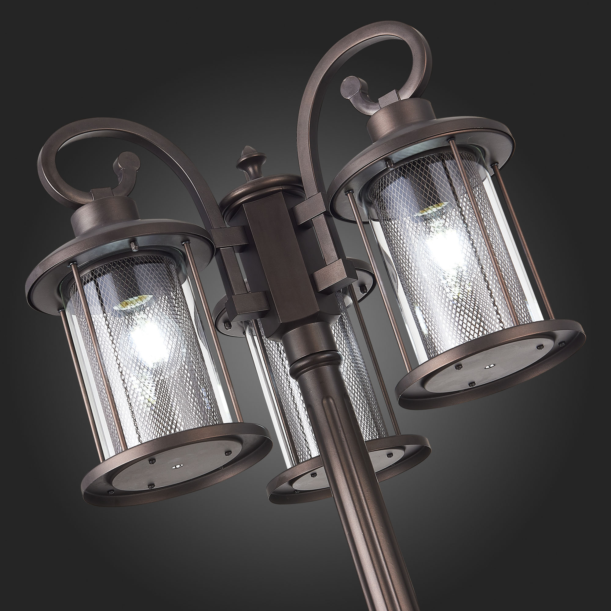 Картинка Садово-парковый светильник ST Luce Lastero SL080.425.03