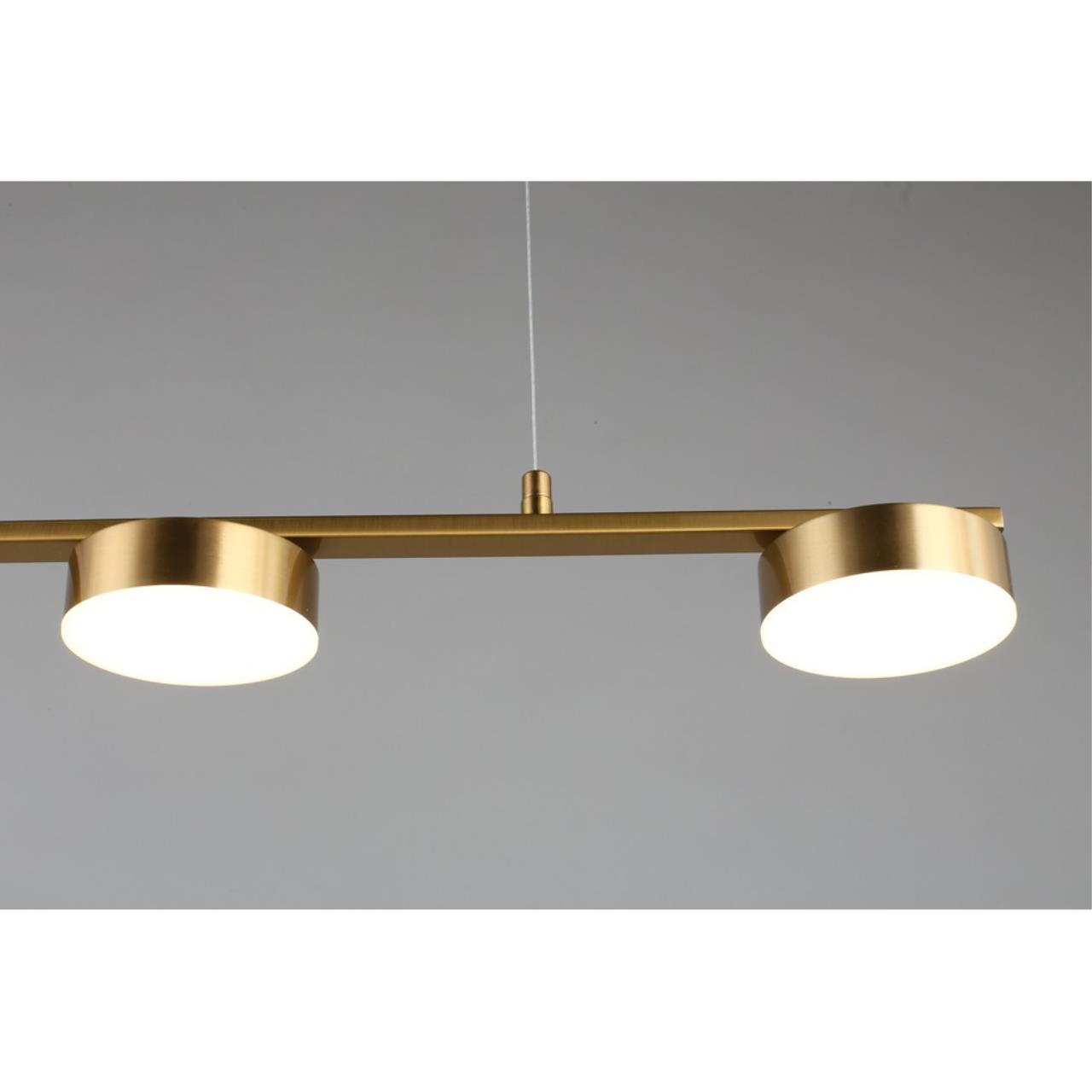 Картинка Подвесная светодиодная люстра Aployt Usia APL.047.13.35