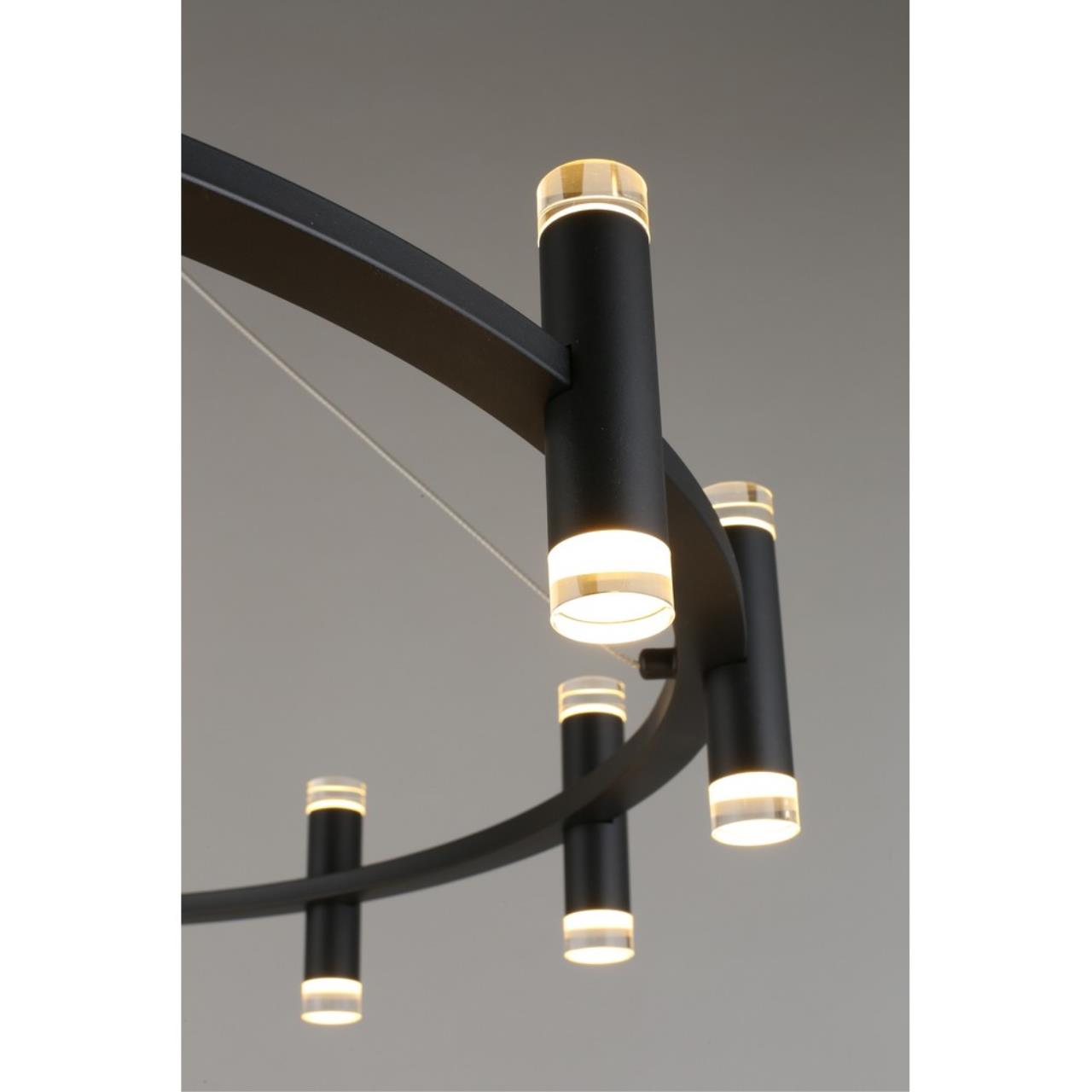 Картинка Подвесная светодионая люстра Aployt Klarcia APL.037.03.120