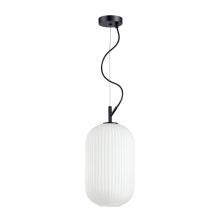 Подвесные Подвесной светильник Odeon Light Pendant Roofi 4751/1, доставка по Казахстану 