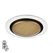 Потолочные 7731/80L Sonex Светильник пульт ДУ SUNNY, доставка по Казахстану 