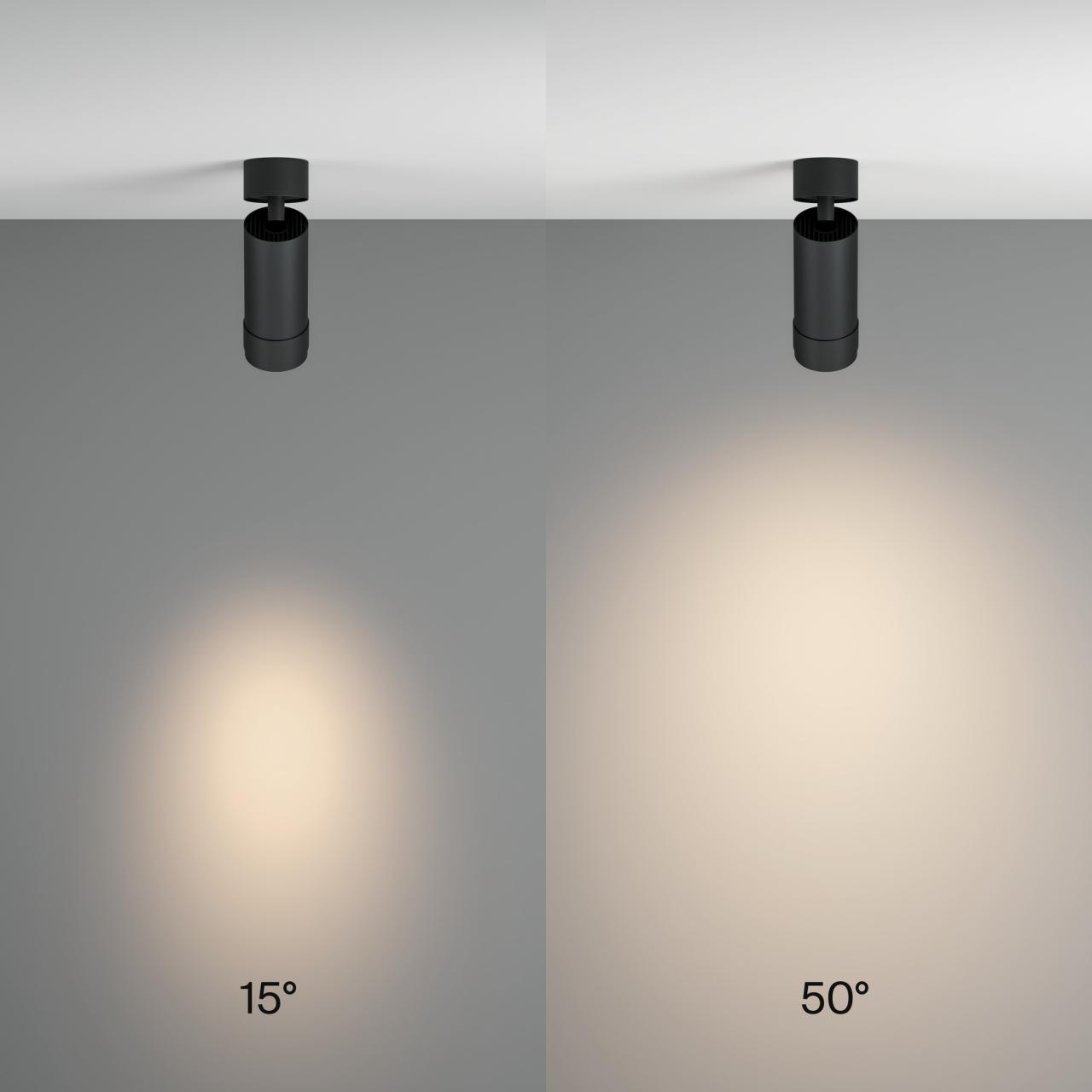 Дополнительная картинка Потолочный светильник Technical C055CL-L12W4K-Z-B