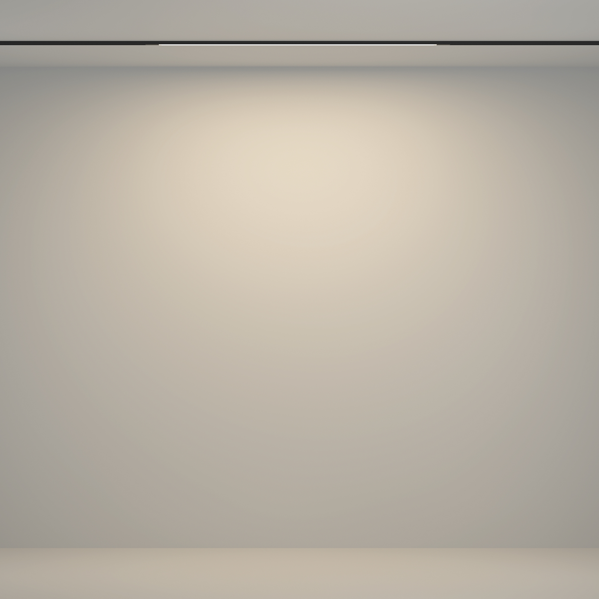 Дополнительная картинка Трековый светильник Technical TR180-1-12WTW-B