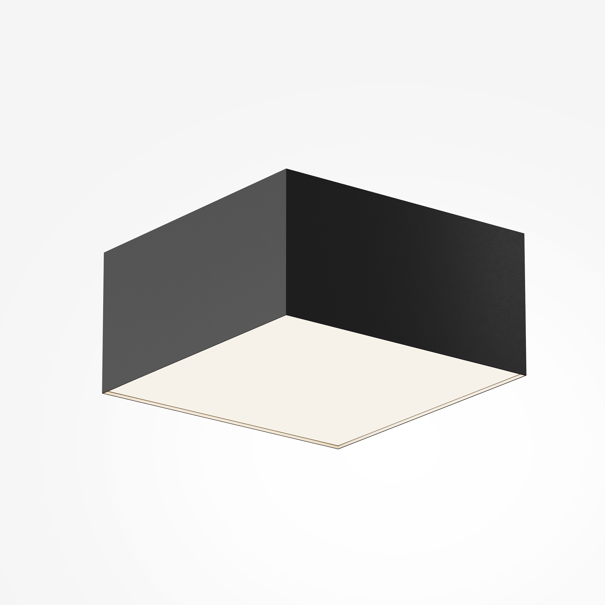Дополнительная картинка Потолочный светильник Technical C032CL-12W4K-SQ-B