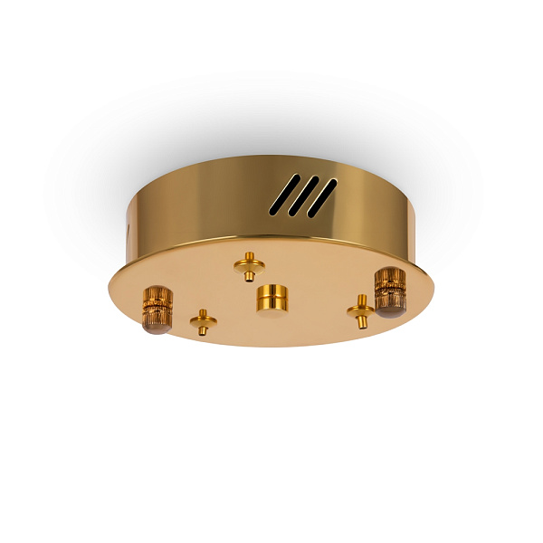 Дополнительная картинка Подвесной светильник Freya FR5257PL-L25G