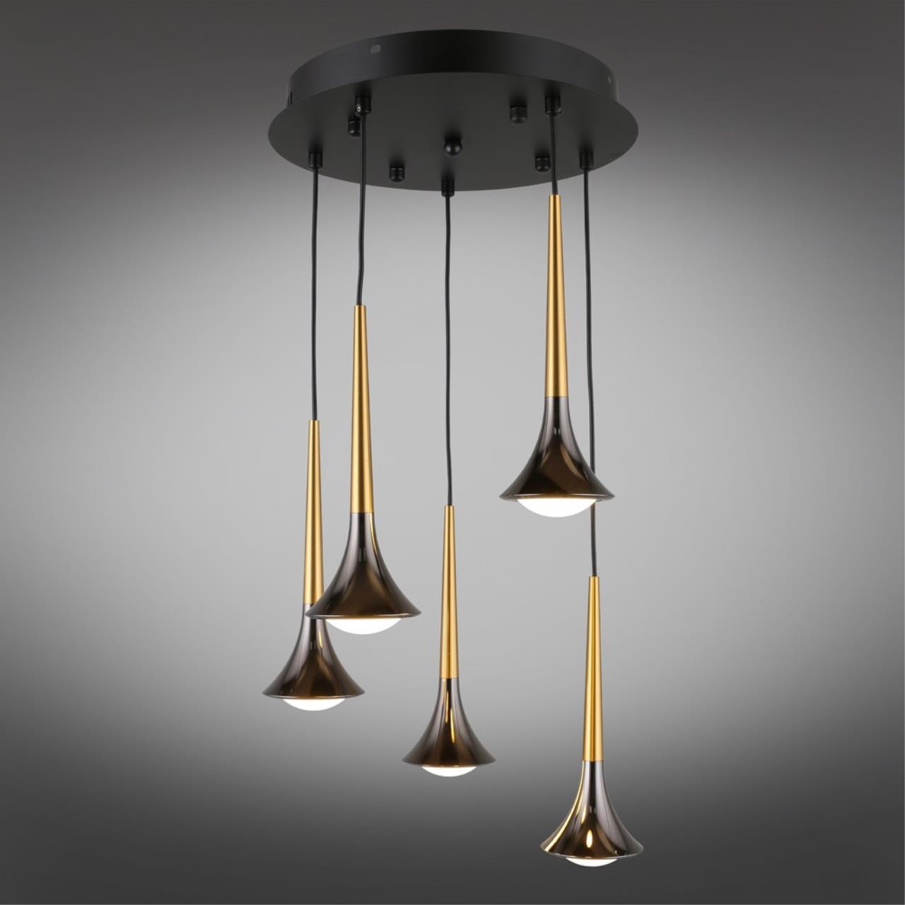 Картинка APL.784.06.05 Светильник подвесной Aployt Agas