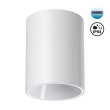 359421 OVER NT24 000 белый Светильник накладной влагозащищённый IP54 LED 15W 170-265V 4000К 1350Лм RECTE купить в Алматы svet.kz