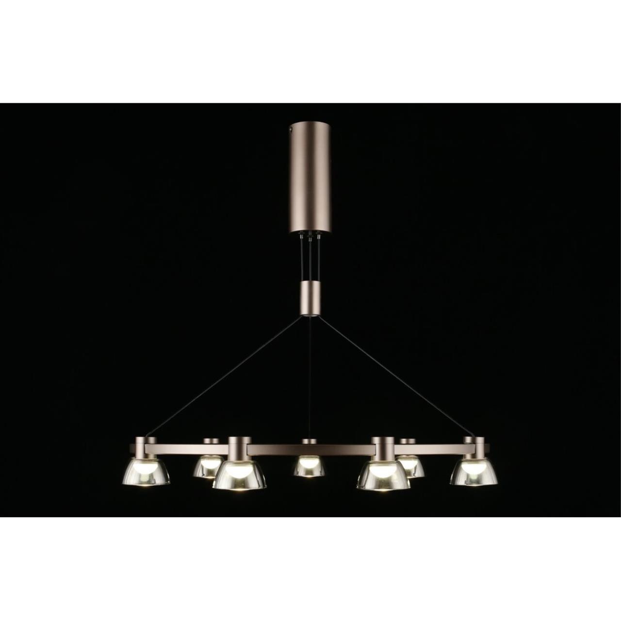 Картинка APL.788.03.09 Люстра подвесная Aployt Rezeda