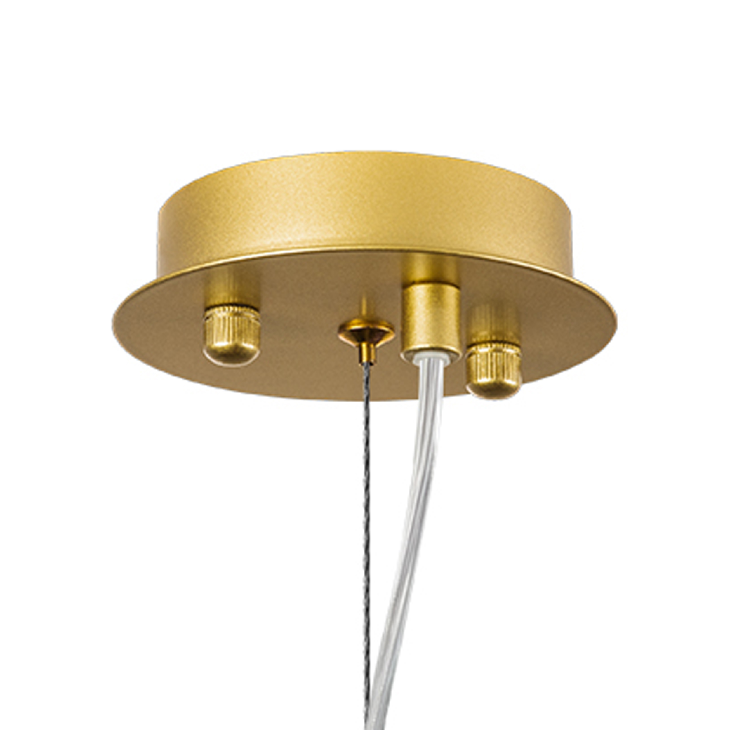 Картинка Подвесной светильник Lightstar Savona 816022