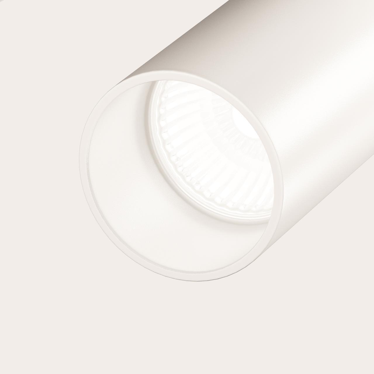 Дополнительная картинка Потолочный светильник Maytoni Elti C021CL-02W