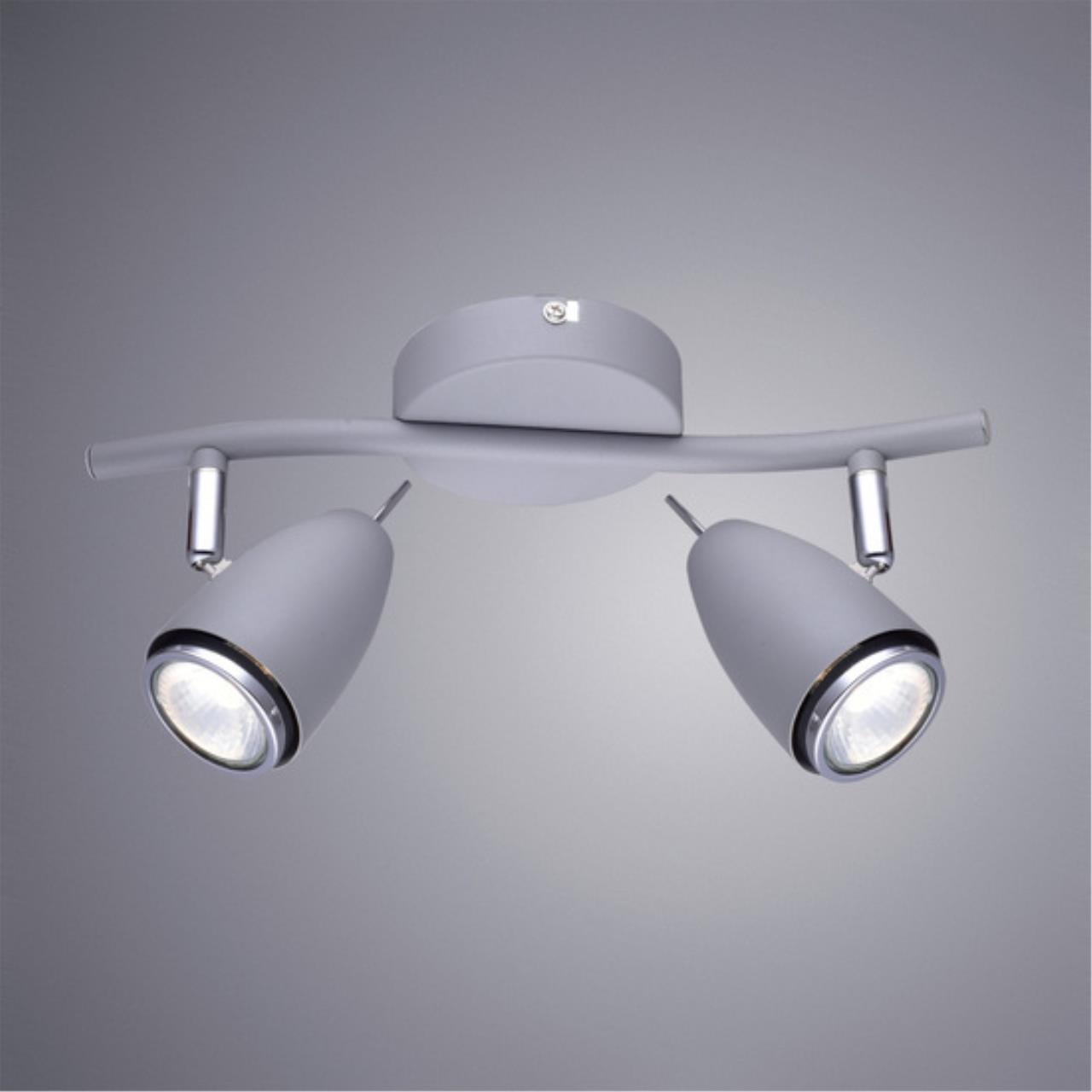 Дополнительная картинка Настенно-потолочный светильник Arte Lamp Regista A1966AP-2GY