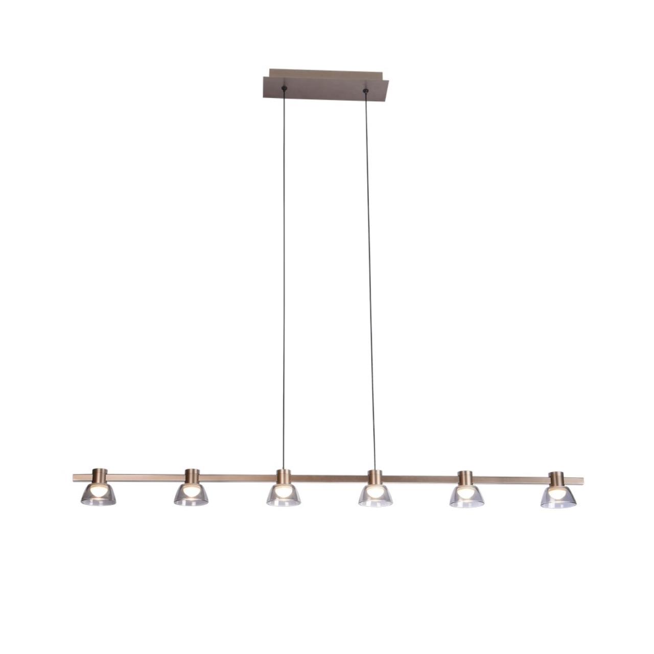 Картинка APL.788.03.06 Светильник подвесной Aployt Rezeda