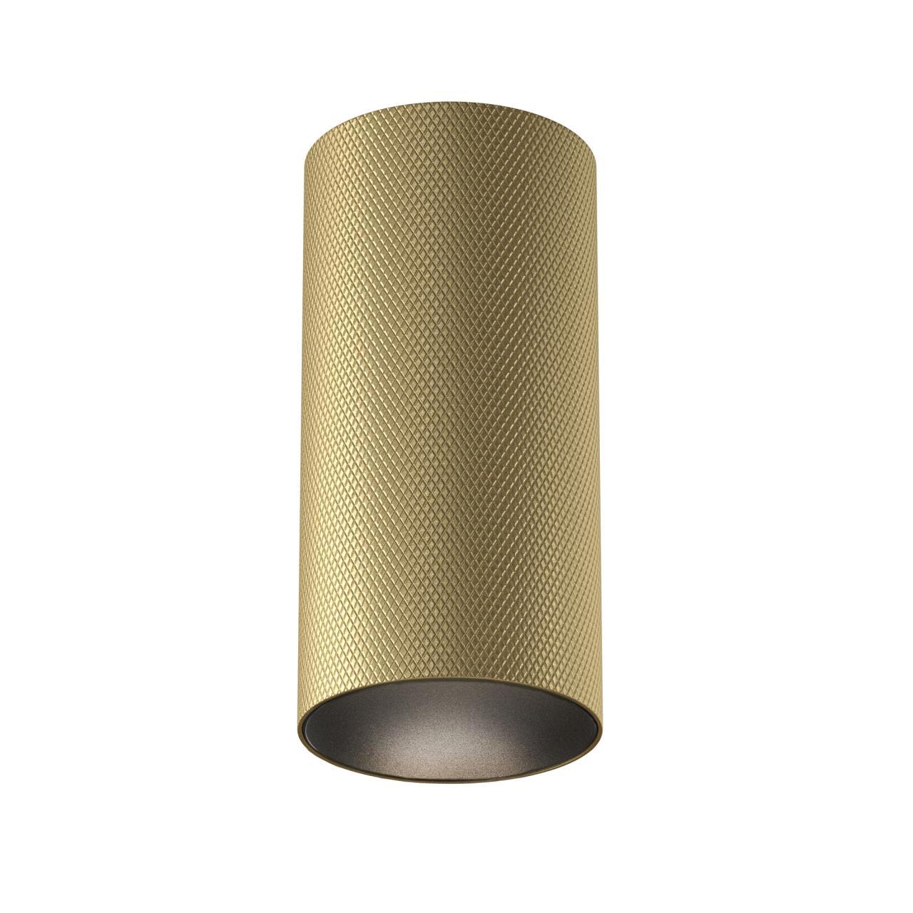 Дополнительная картинка Потолочный светильник Technical C080CL-01-GU10-MG