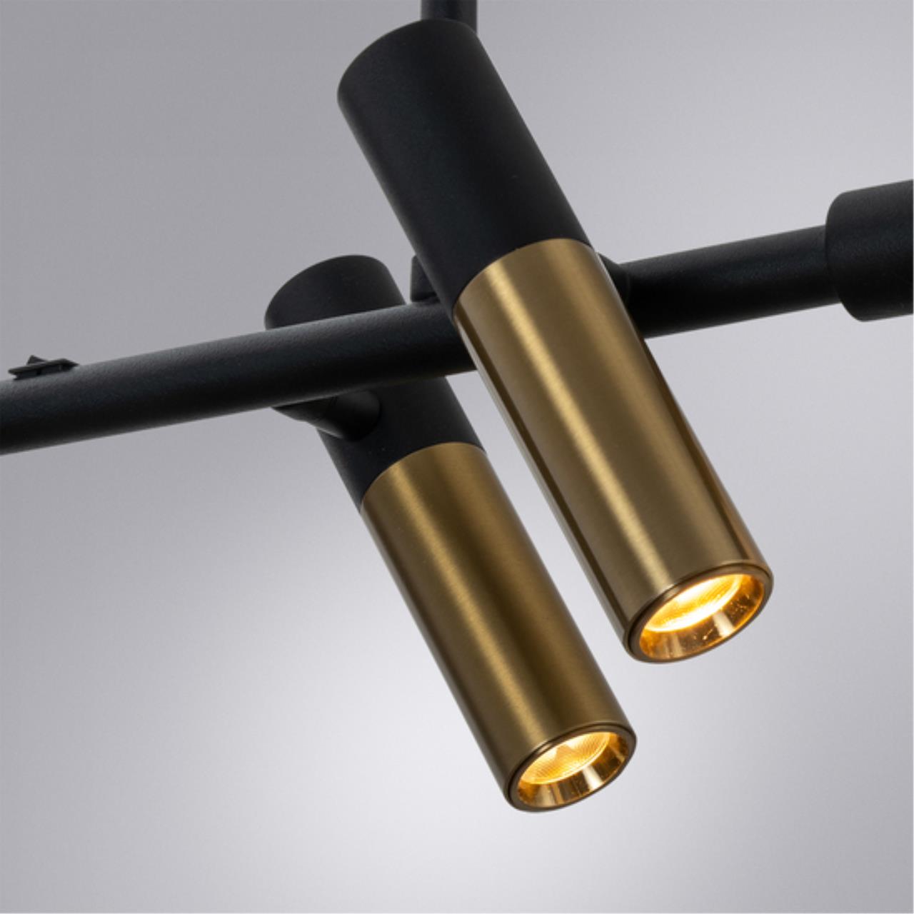 Картинка Подвесной светильник Arte Lamp KLIMT A2850SP-45BK