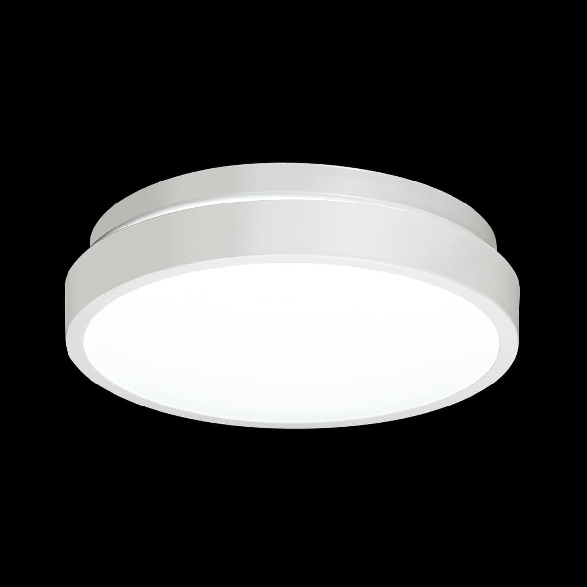 Картинка Настенно-потолочный светильник Sonex Mini Smalli 3014/AL
