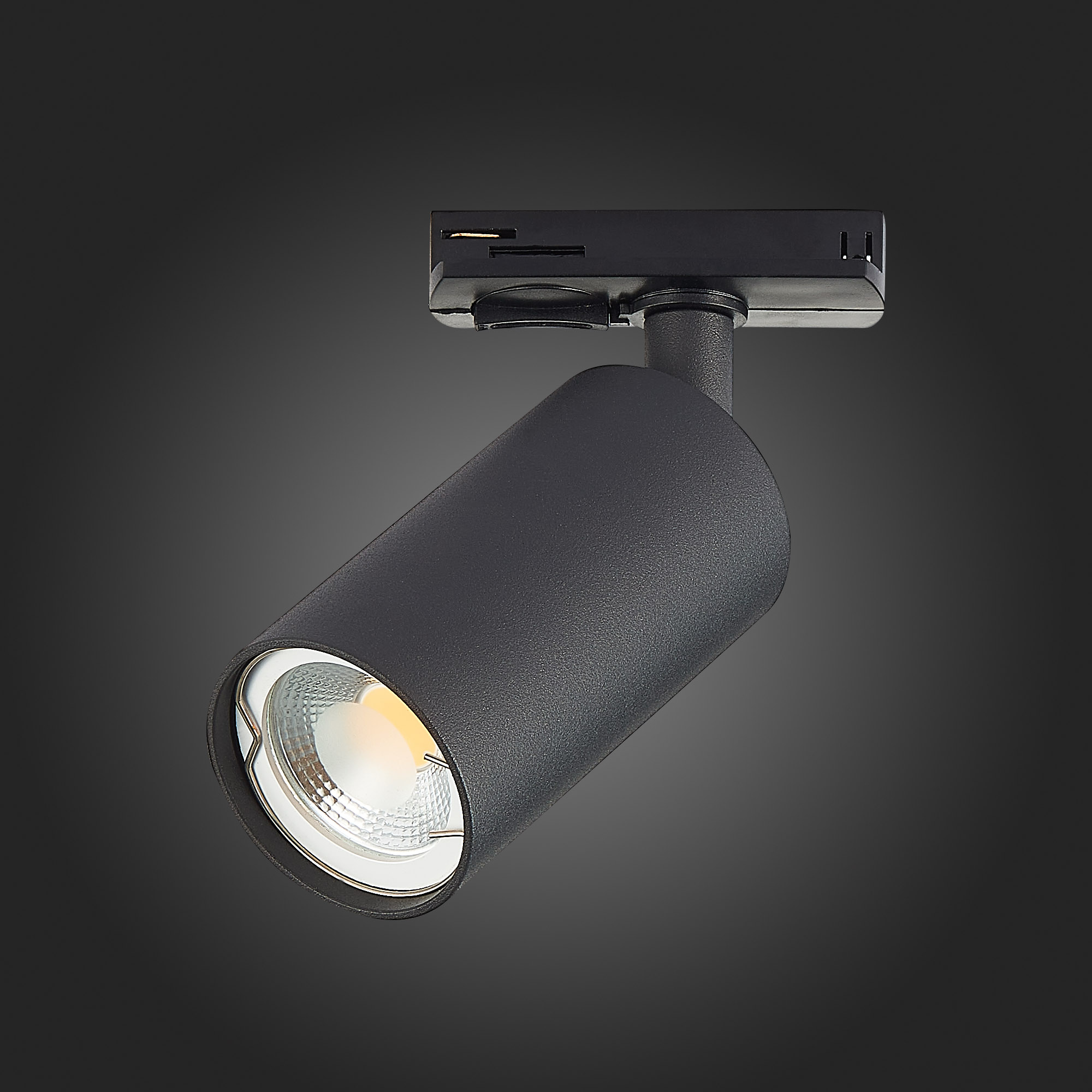 Картинка Трековый светильник ST Luce ST300.406.01