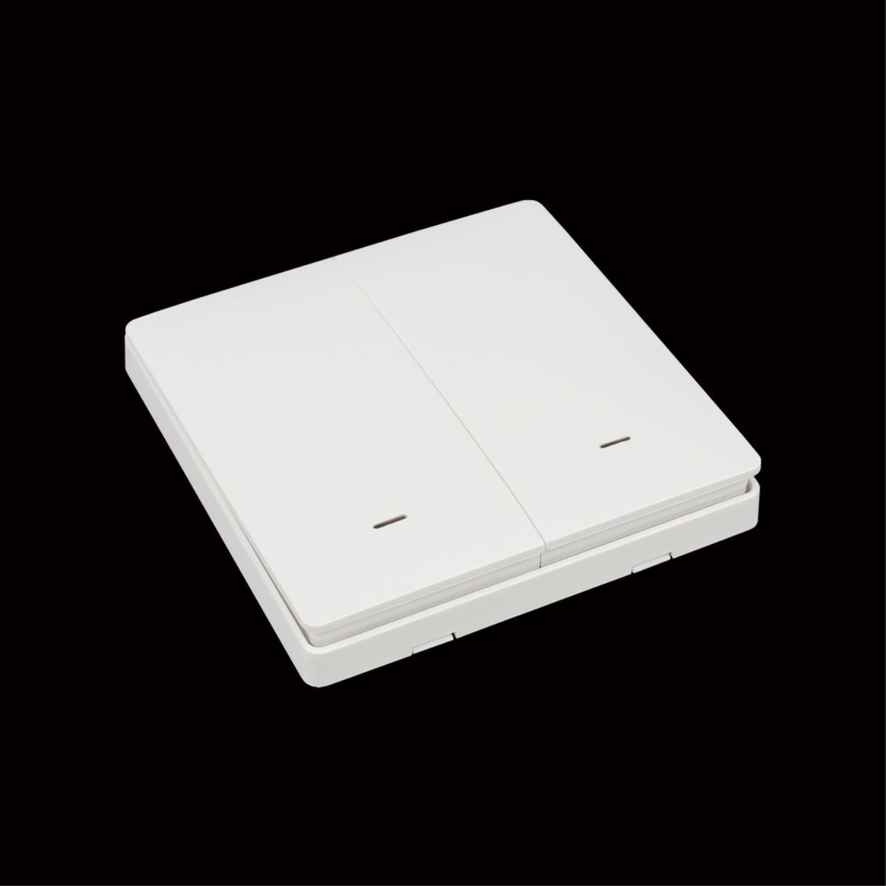 Дополнительная картинка APL.0190.00.02/RT-A-ZS-EU2 Выключатель двухклавишный