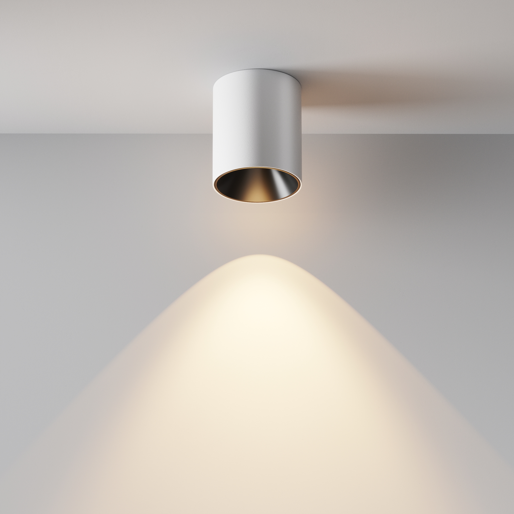 Картинка Потолочный светильник Technical C064CL-12W3K-RD-WB
