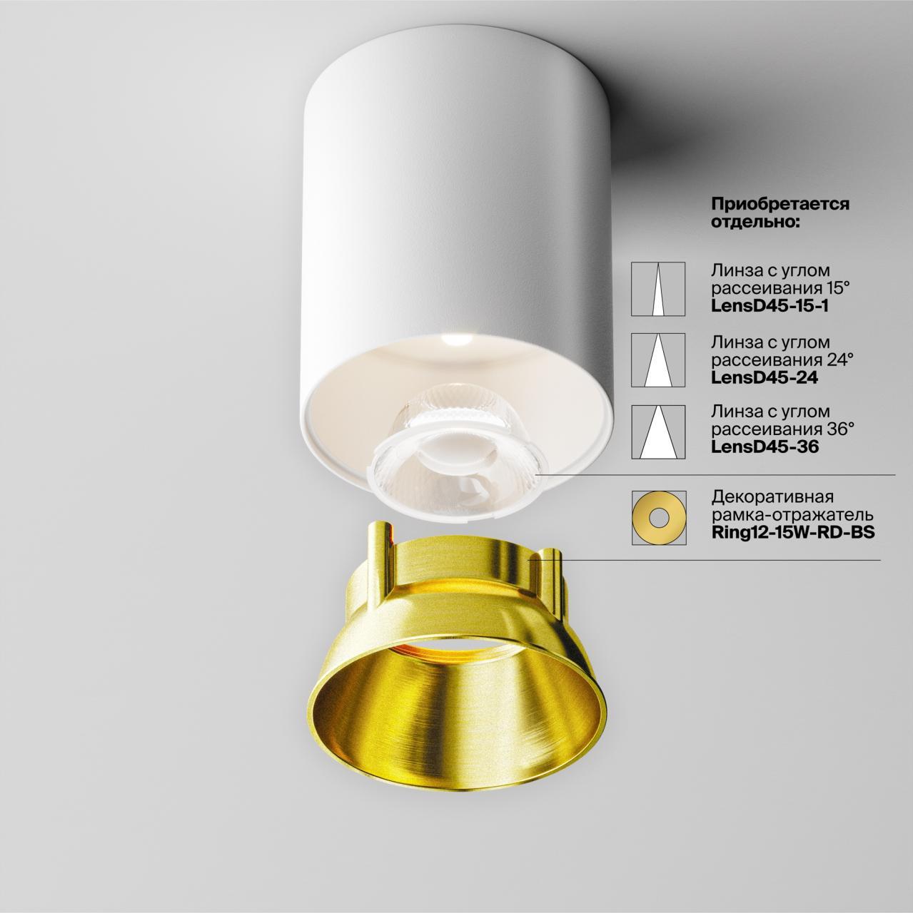 Дополнительная картинка Потолочный светильник Technical C064CL-12W4K-RD-WB