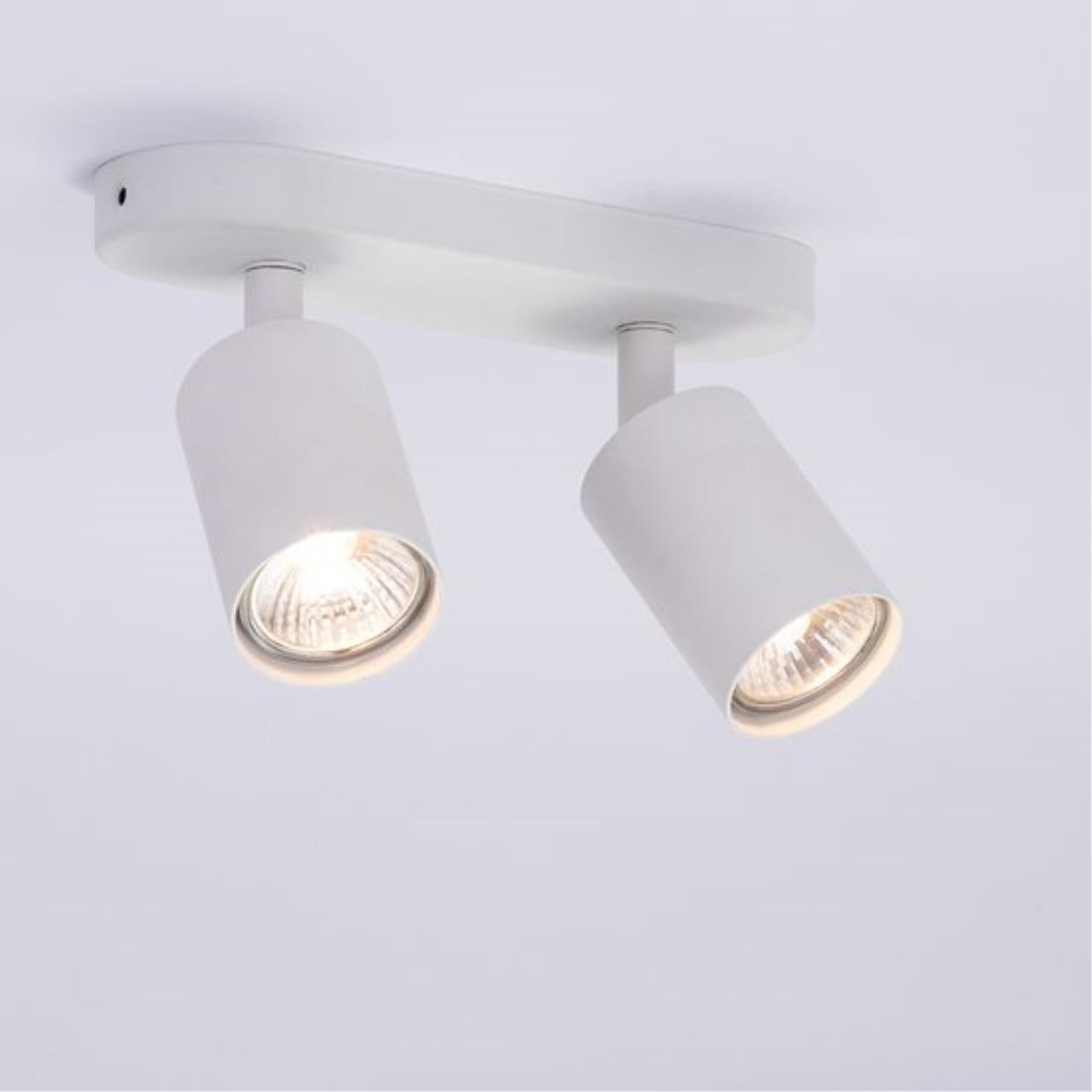 Дополнительная картинка Потолочный светильник Arte Lamp AQUARIUS A3226PL-2WH