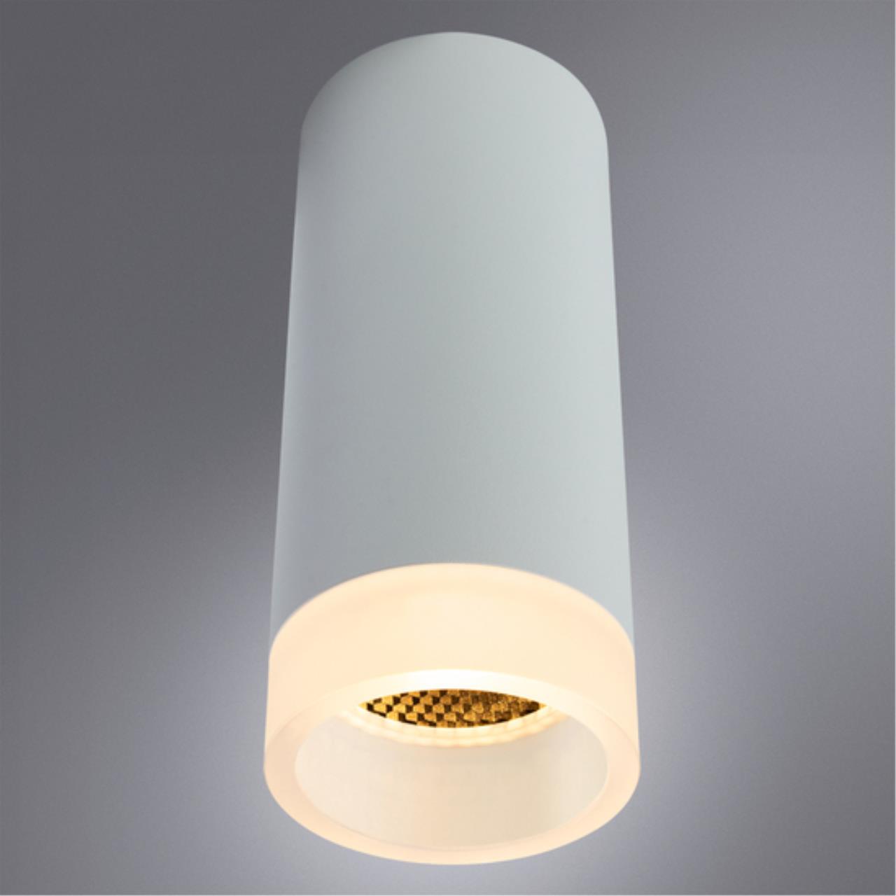 Дополнительная картинка Потолочный светильник Arte Lamp Ogma A5556PL-1WH