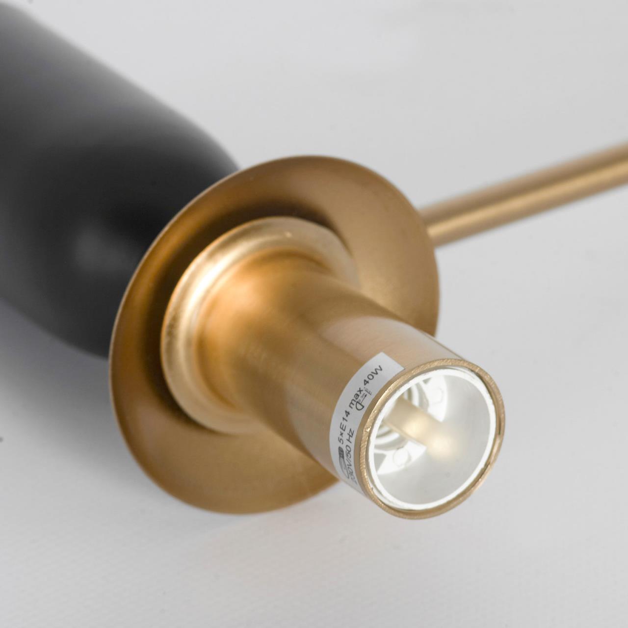 Дополнительная картинка Люстра потолочная Lussole LSP-8821