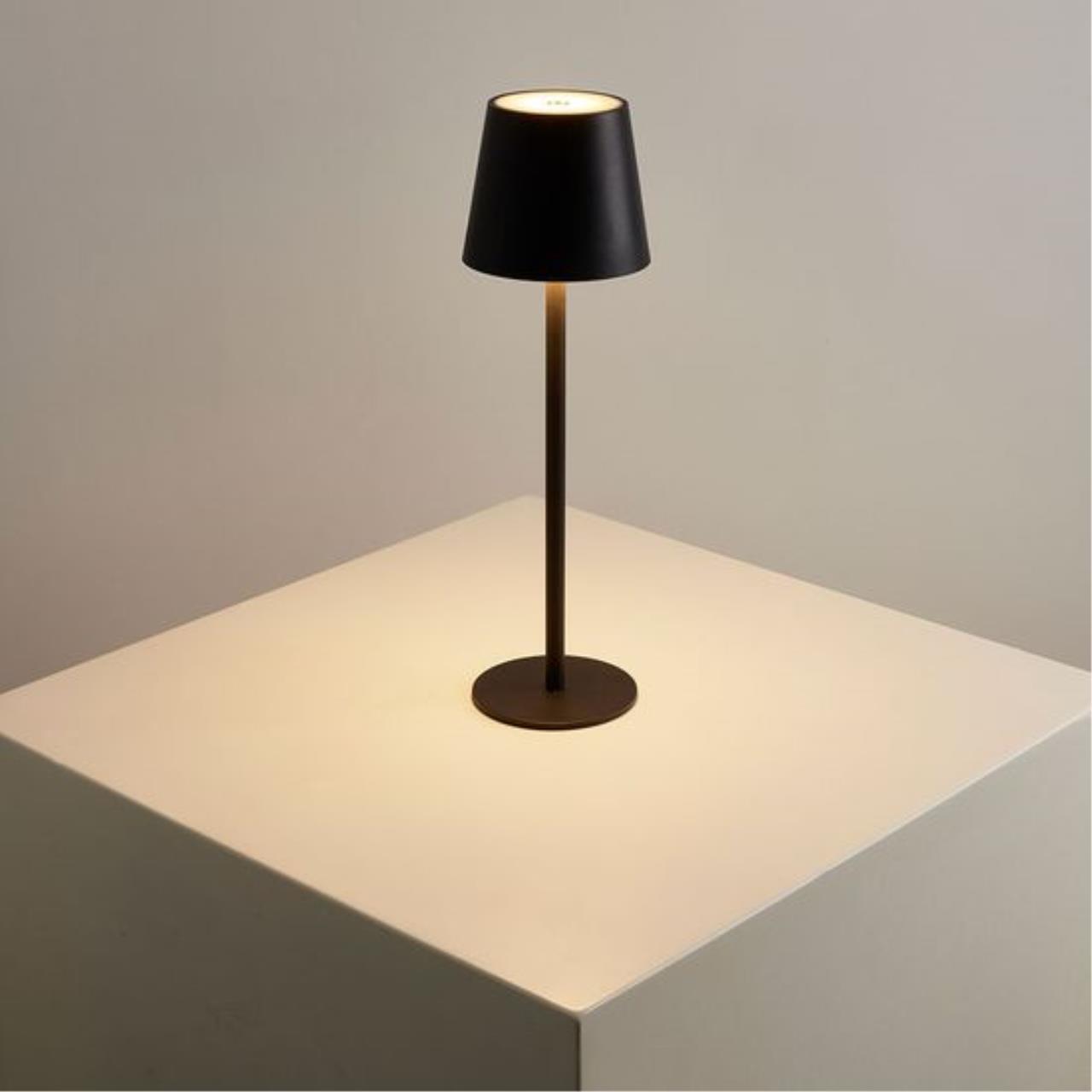 Дополнительная картинка Настольный светильник FUYUE Arte Lamp A1614LT-1BK