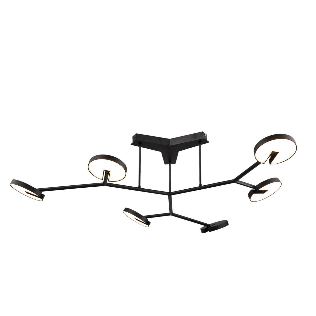 Потолочные Потолочный светильник Paritet 4401-6C, доставка по Казахстану 