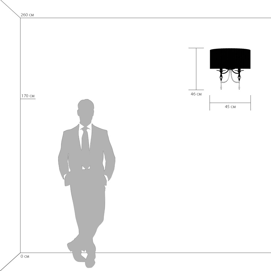Картинка Настенный светильник Lightstar Paralume 725626