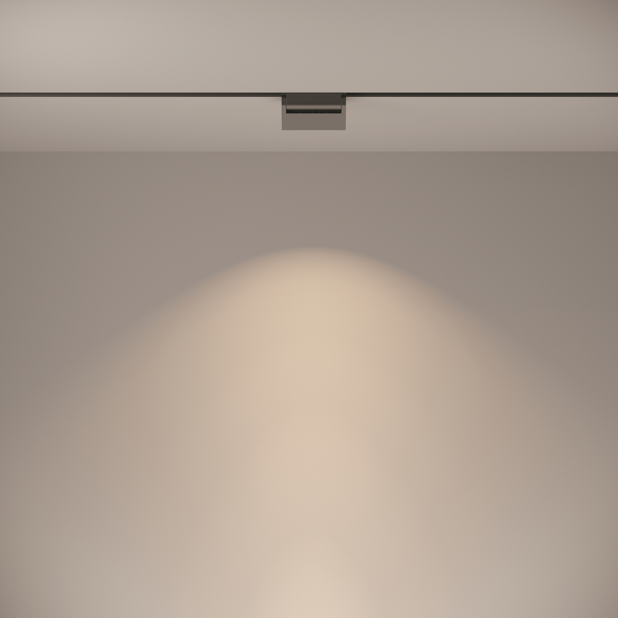 Дополнительная картинка Трековый светильник Technical TR013-2-10W4K-B