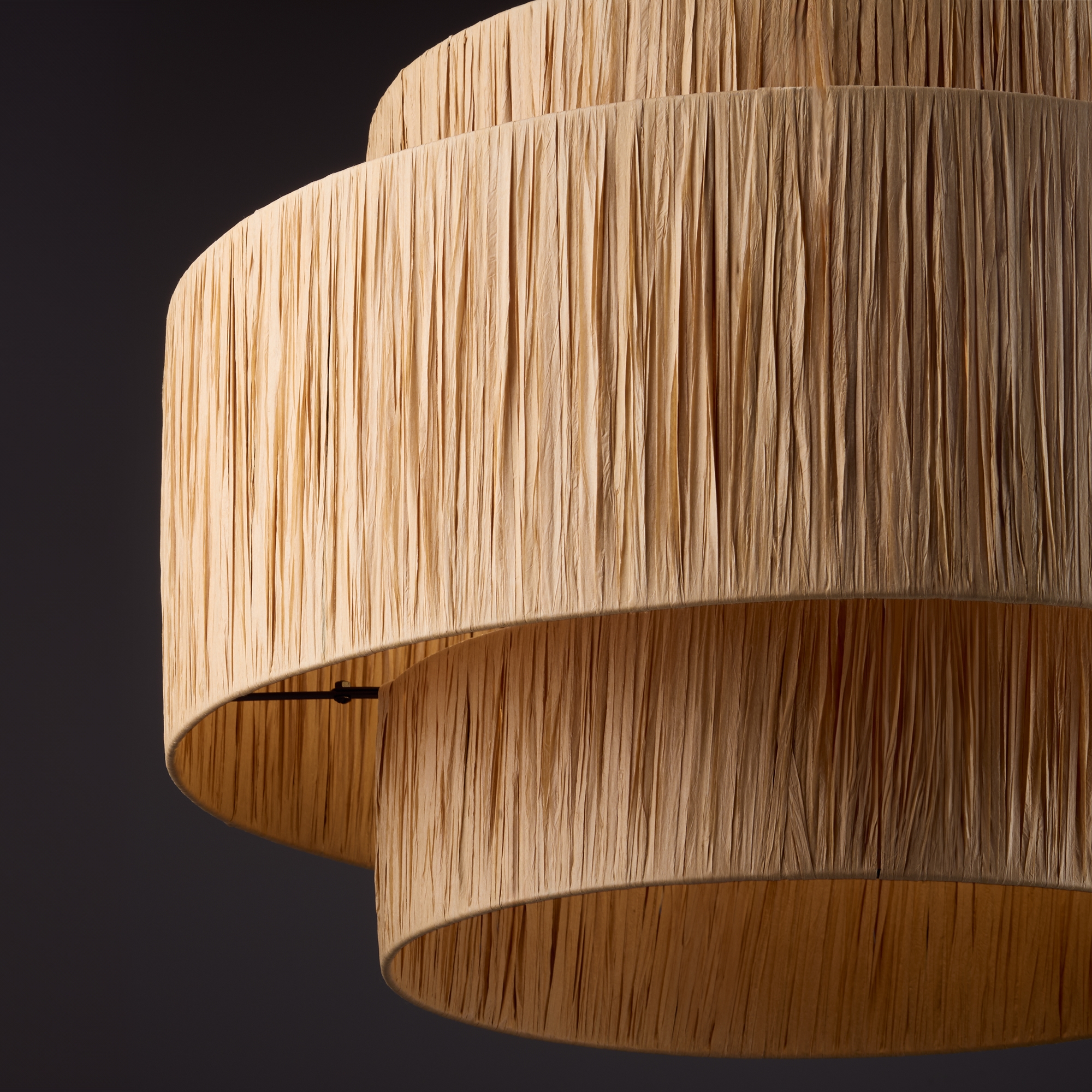 Дополнительная картинка Подвесной светильник Freya FR5249PL-03BG