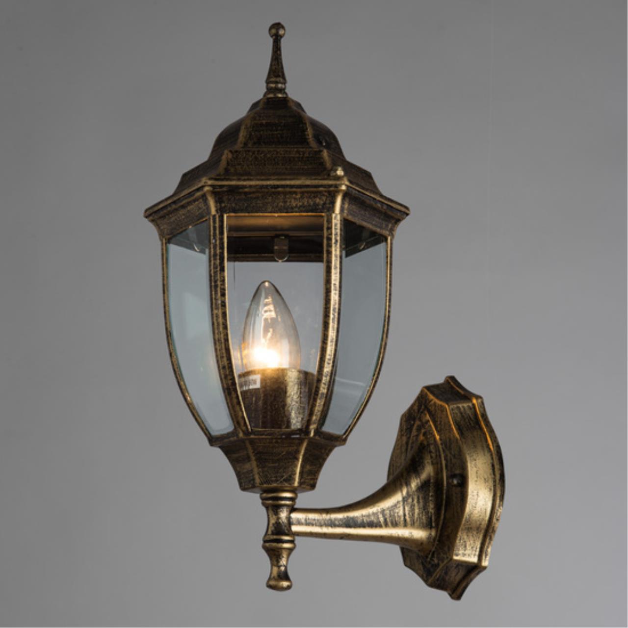 Картинка Уличный настенный светильник Arte Lamp Pegasus A3151AL-1BN