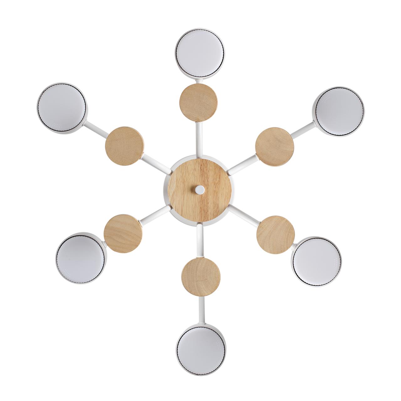 Дополнительная картинка 8231/6C Lumion Люстра потолочная RONDO