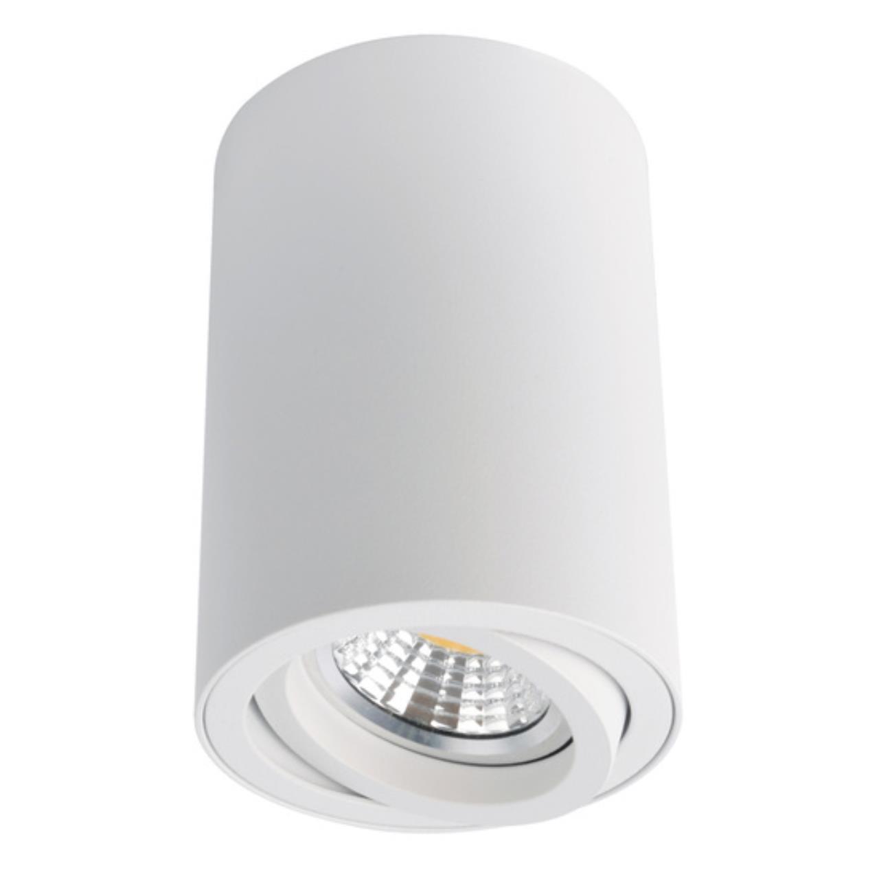 Дополнительная картинка Потолочный светильник Arte Lamp A1560PL-1WH