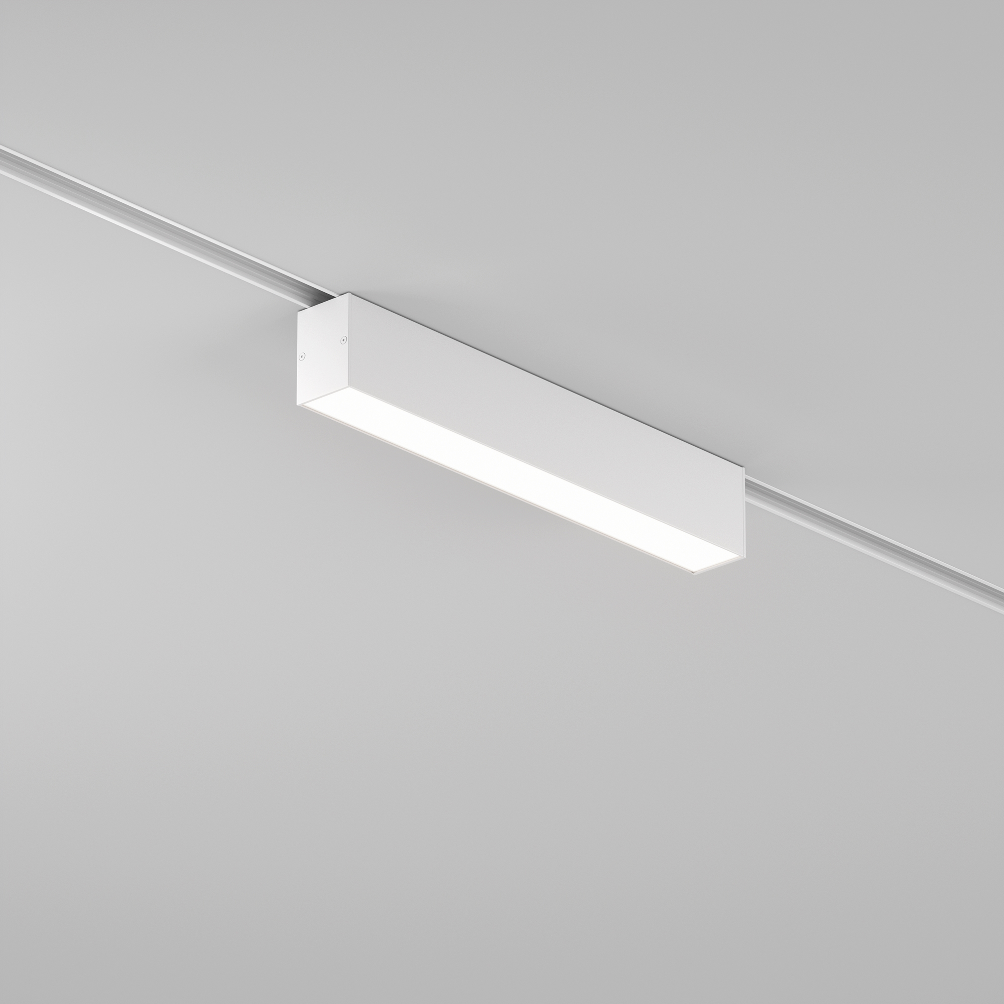 Дополнительная картинка Трековый светильник Technical TR012-2-12W4K-W