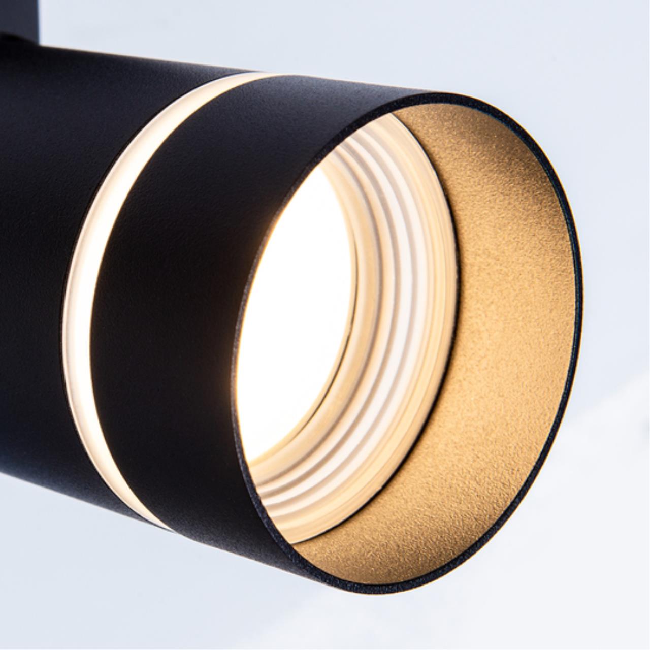 Дополнительная картинка Потолочный светильник Arte Lamp NAHN A3221PL-1BK