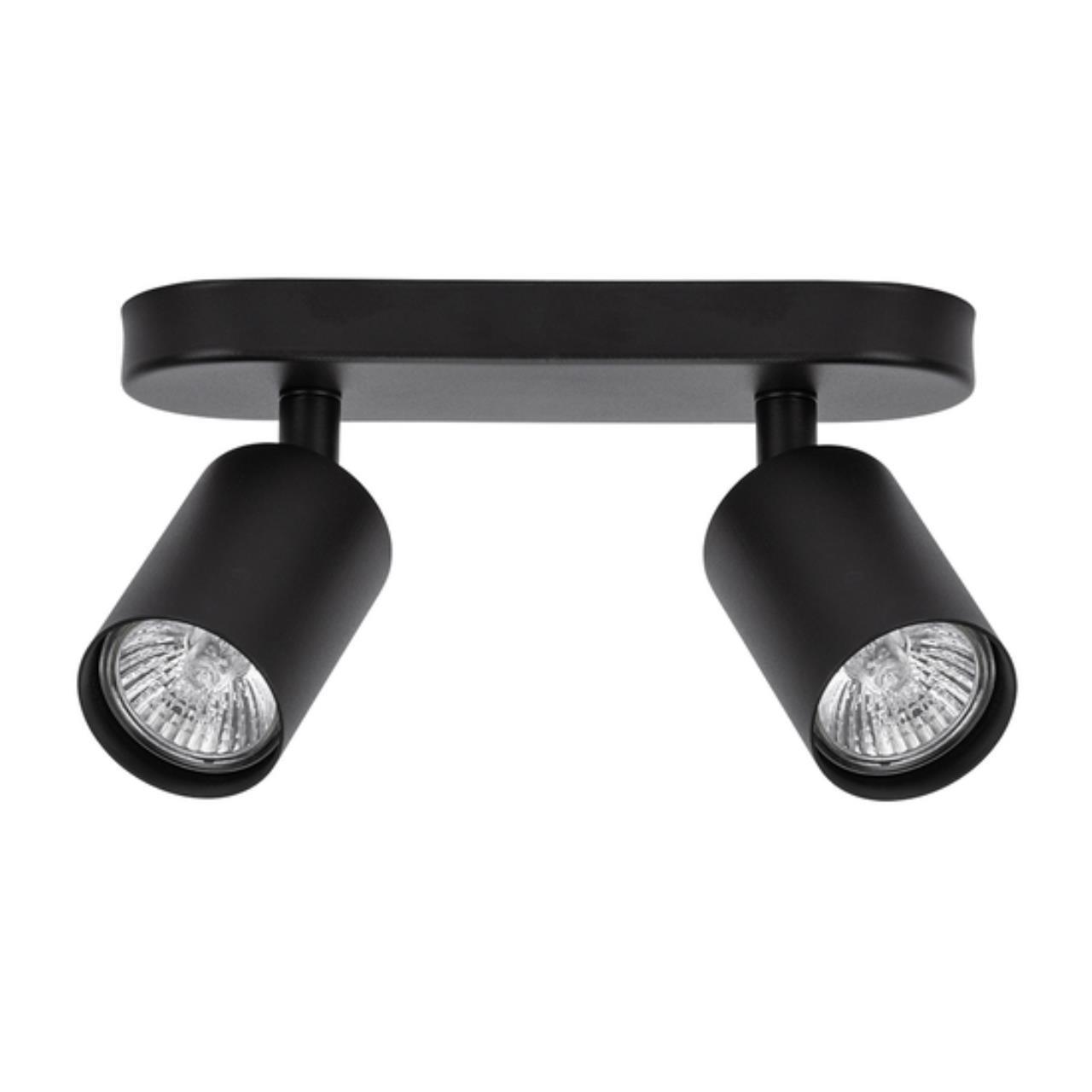 Картинка Потолочный светильник Arte Lamp AQUARIUS A3226PL-2BK