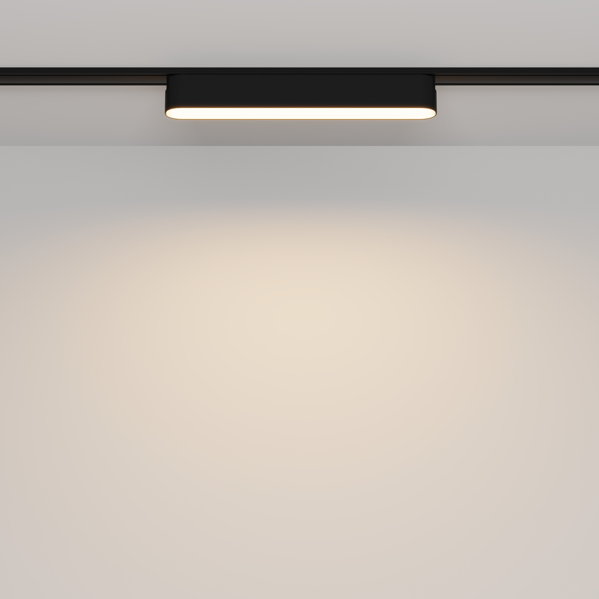 Картинка Трековый светильник Technical TR080-1-12W3K-B