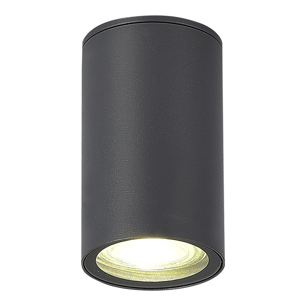 Дополнительная картинка SL9010.712.01 Светильник уличный потолочный ST-Luce TUBO