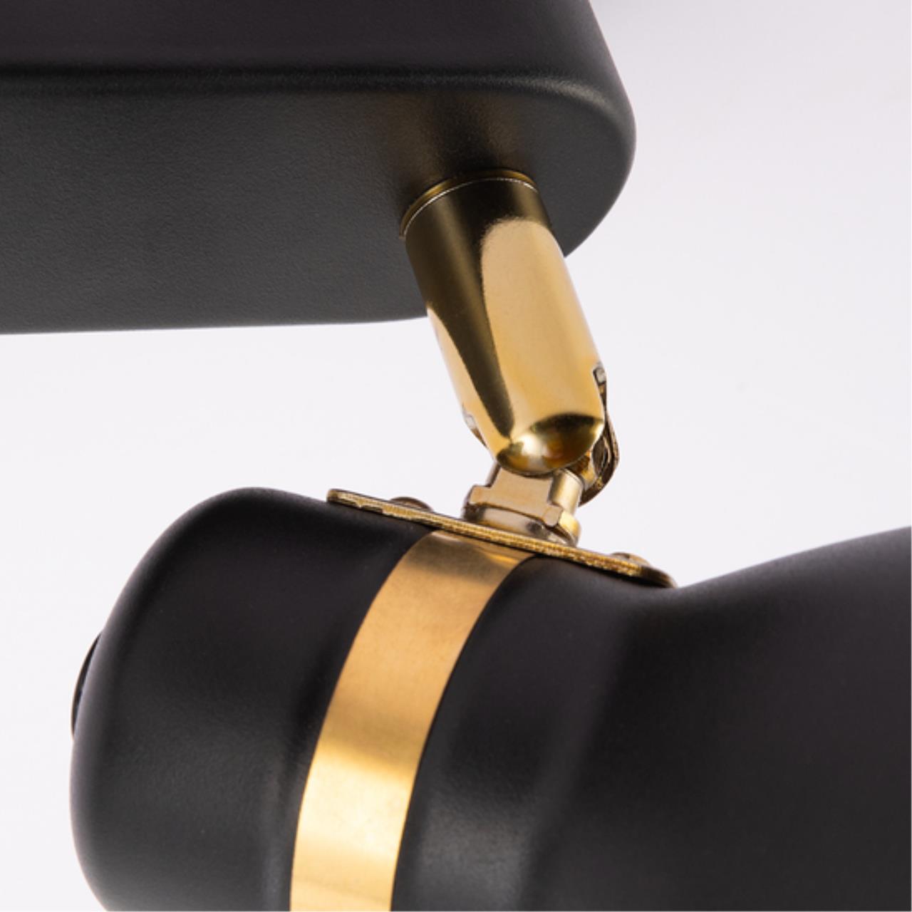 Дополнительная картинка Потолочный светильник Arte Lamp FAFNIR A5047PL-2BK