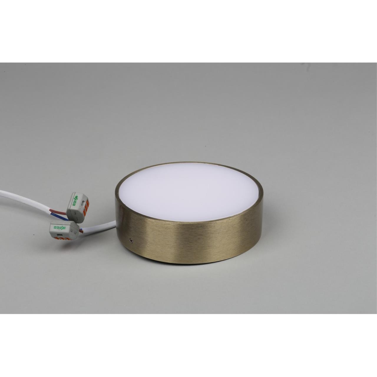 Картинка Потолочный светодиодный светильник Aployt Evon APL.0113.29.12