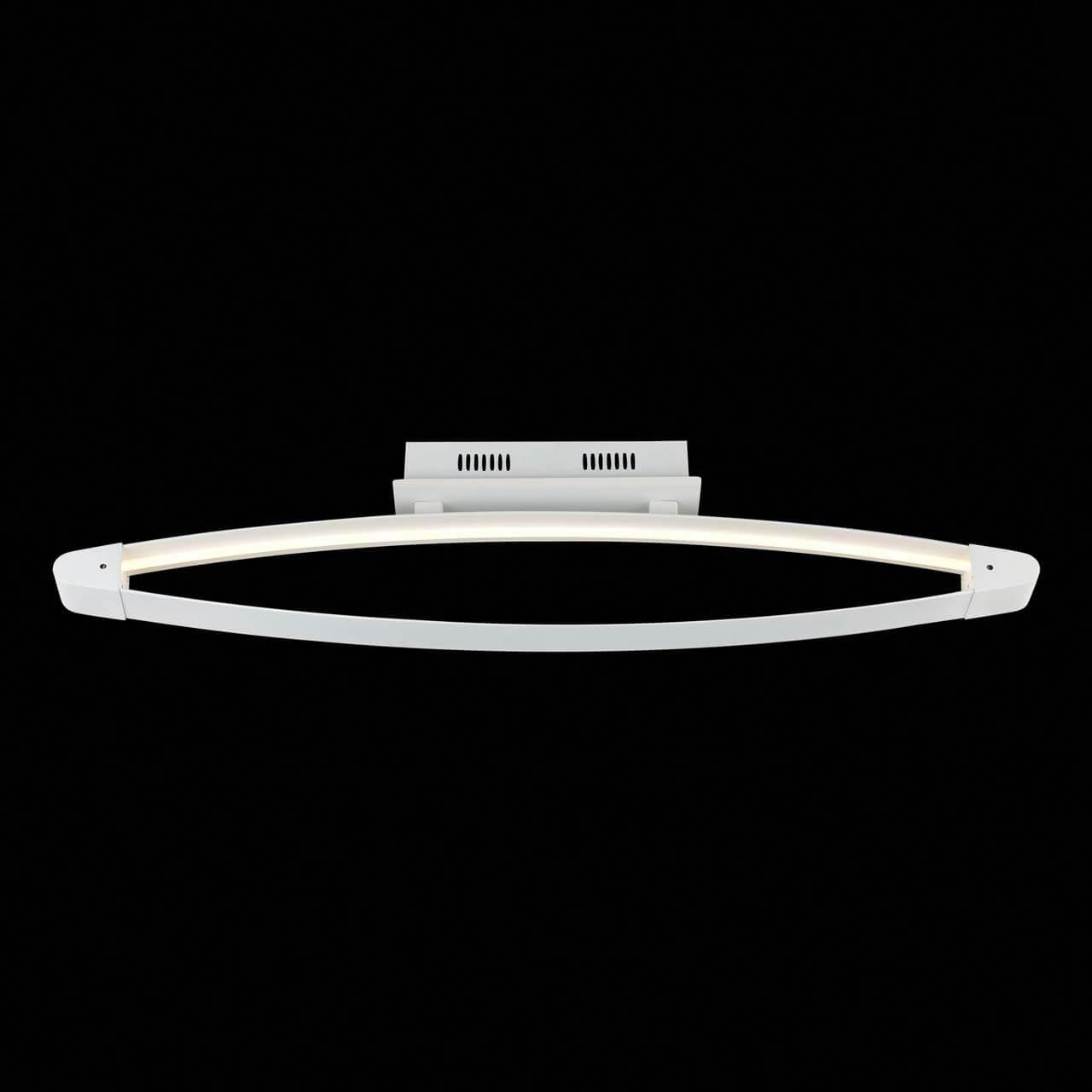 Потолочный светодиодный светильник ST Luce SL920.102.01 — фото 2