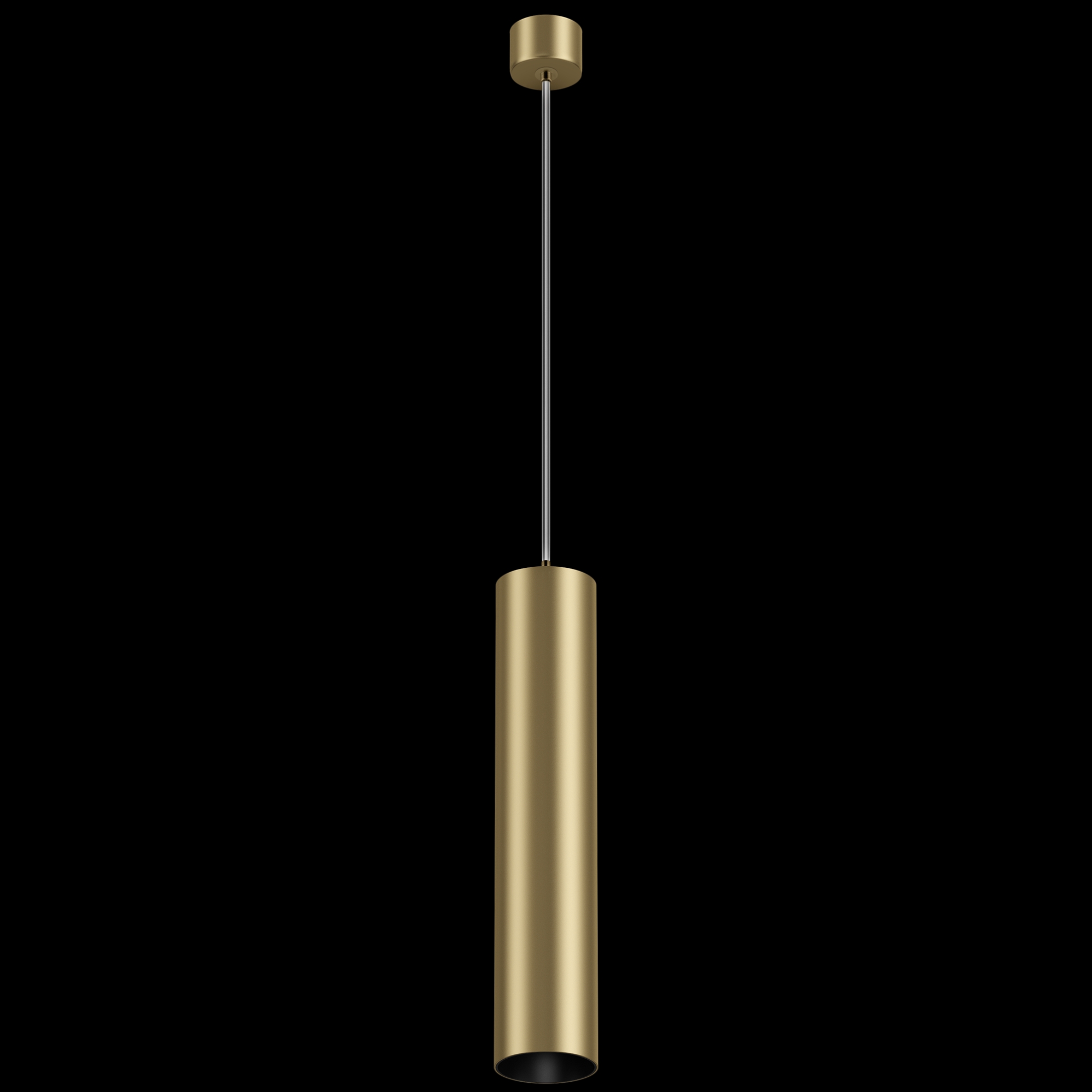 Картинка Подвесной светильник Technical P075PL-01MG