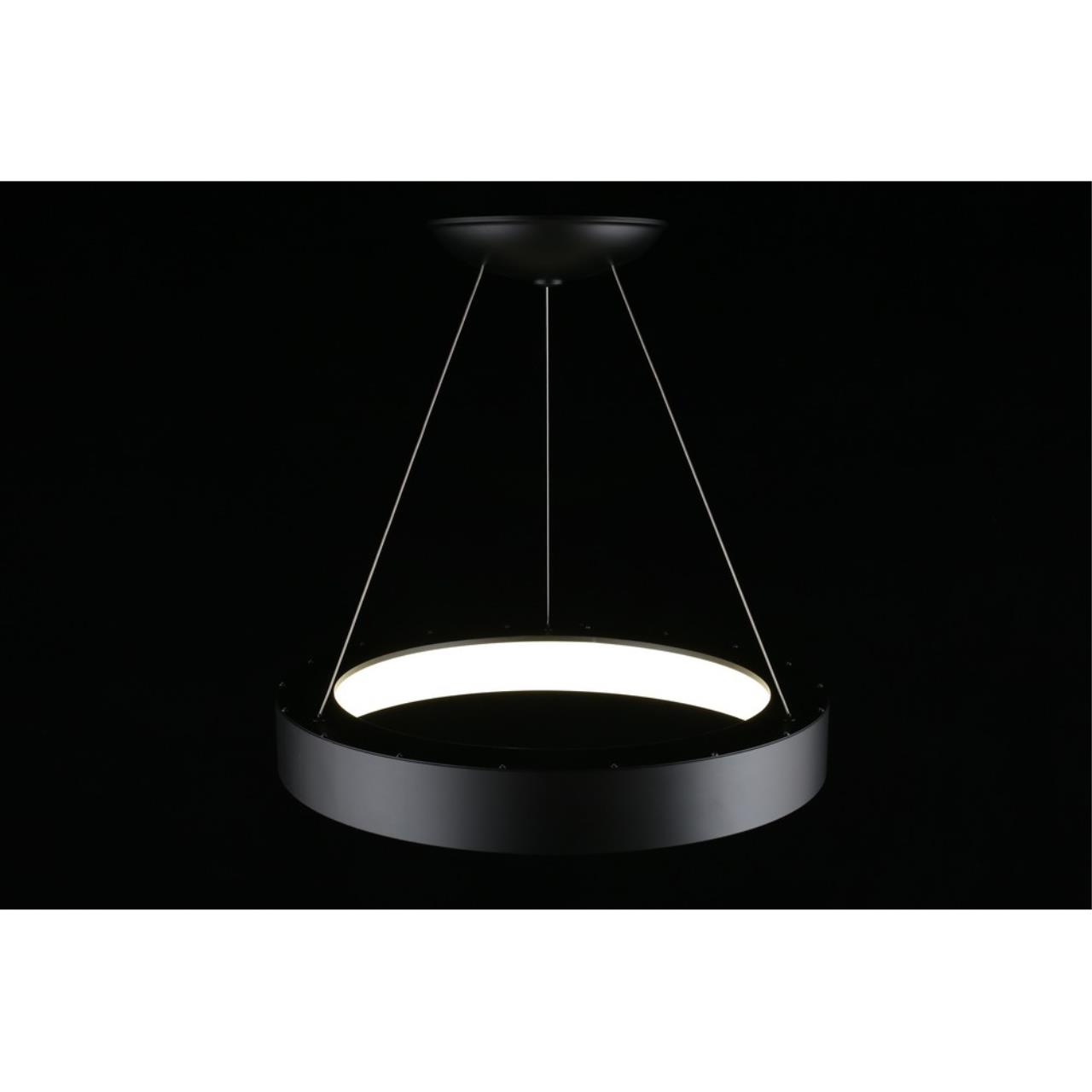 Картинка APL.052.13.60 Светильник подвесной светодиодный Aployt Michell