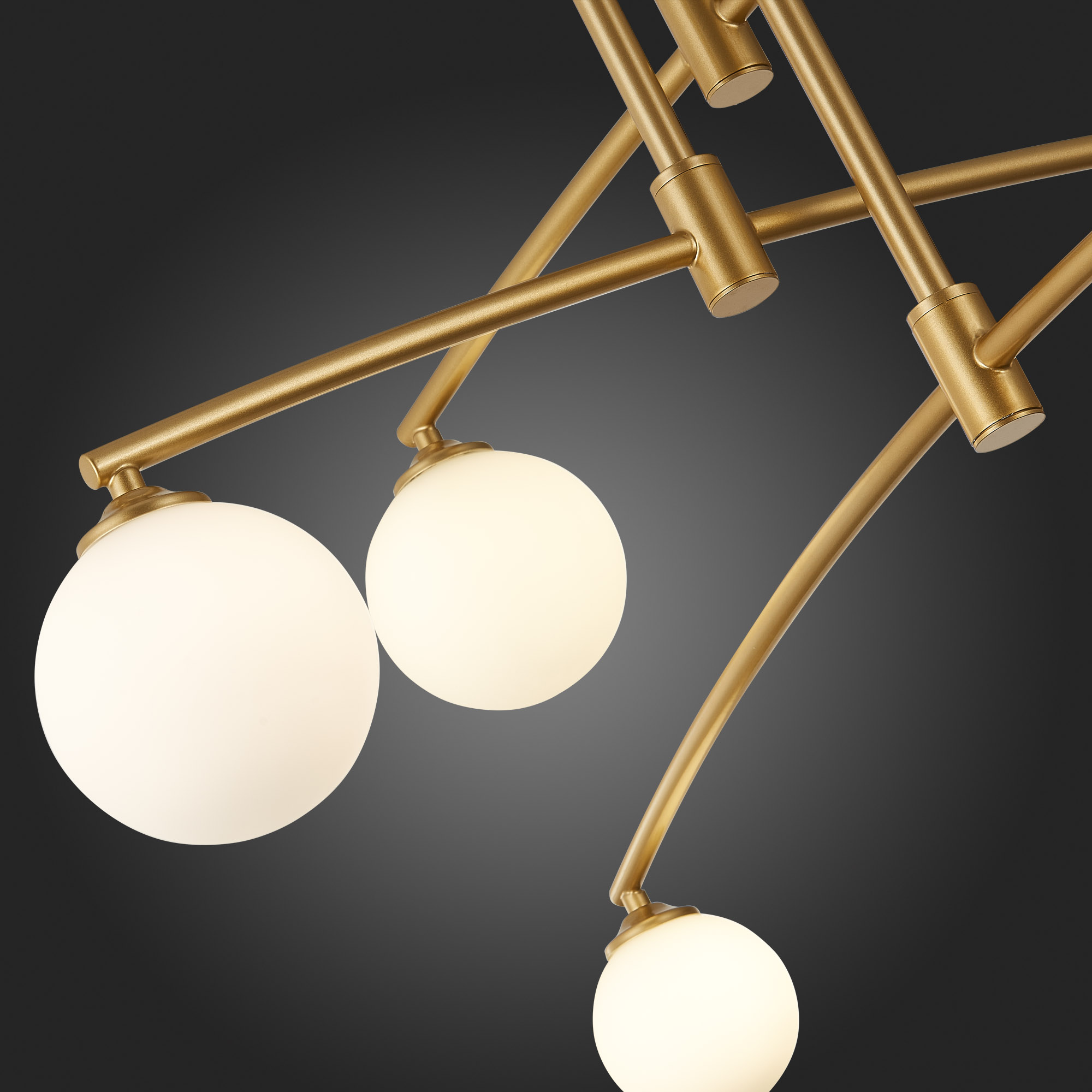 Картинка Потолочная люстра ST Luce Sembrare SL1208.302.06