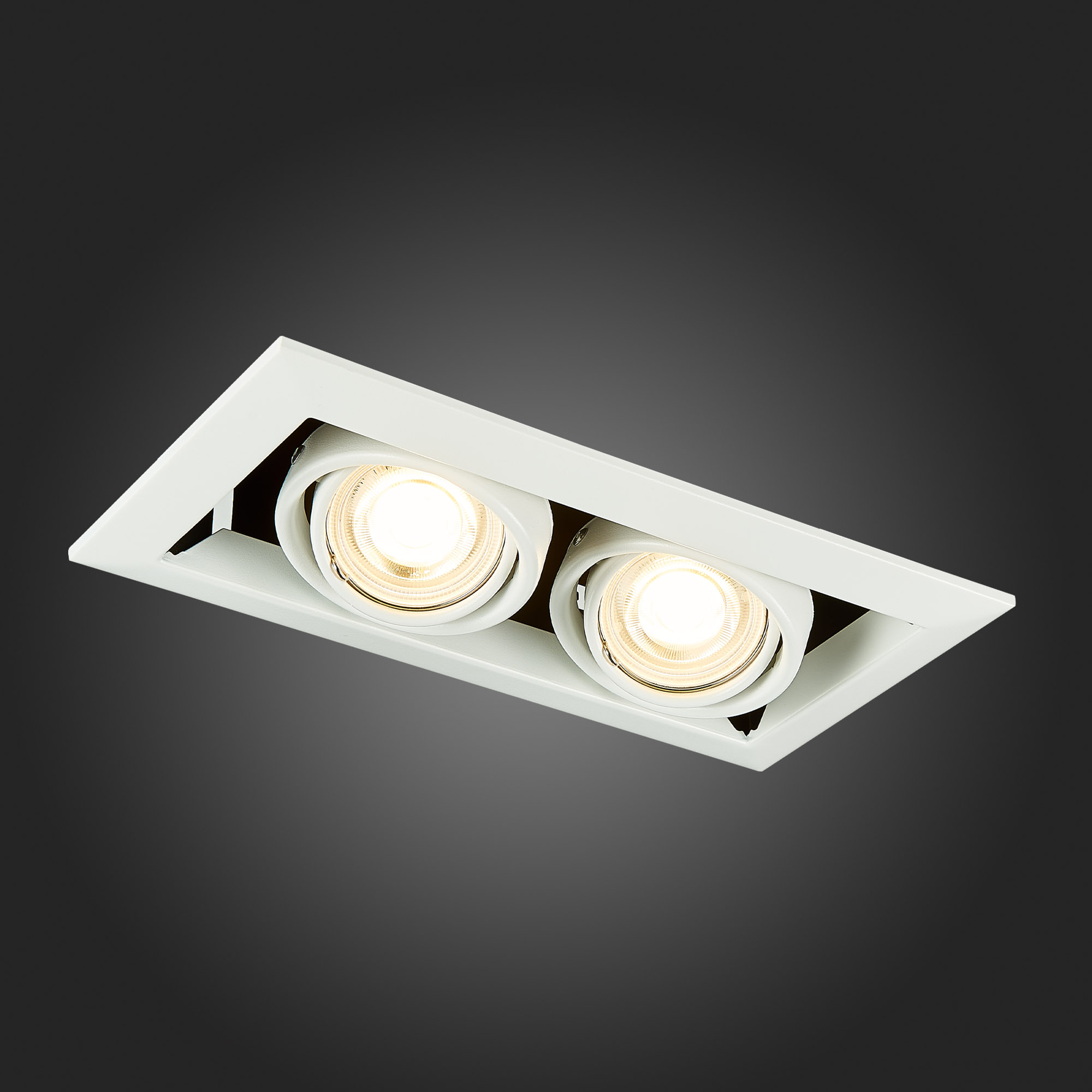 Дополнительная картинка Встраиваемый светильник ST Luce ST250.558.02